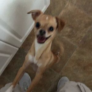 Meet your Posher, Mike